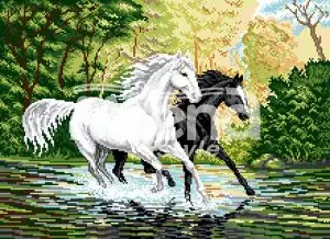 В-галоп-DMC-нов—Screen