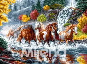 Мустанги-DMC—Screen