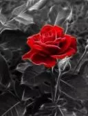 Диамантен гоблен „Червена роза“