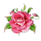 Диамантен гоблен „Разцъфнала роза“