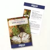 Бяла красота Безплатна схема Милена Стил