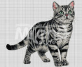Американска късокосместа котка Гоблен за шиене Милена Стил