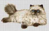 Хималайска котка Гоблен за шиене Милена Стил