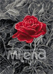 Chervena-roza-202400173-logo