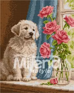 243064-Кученце на прозореца-logo