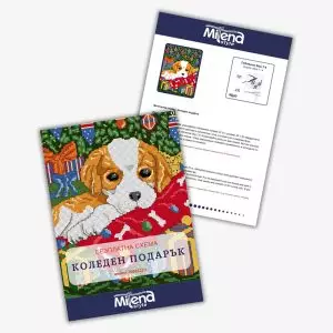 20041223-Коледен-подарък