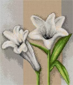 20080521-Пролетна-композиция-AR